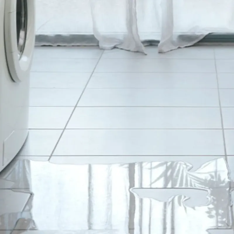 Appliance Leak Cleanup in Bryan County, GA