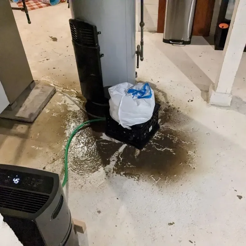 Sewage Backup Cleanup Service in Bryan County, GA
